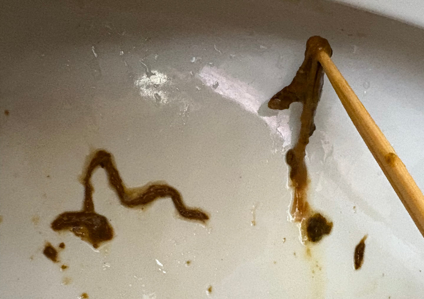 Parasite Detox tea