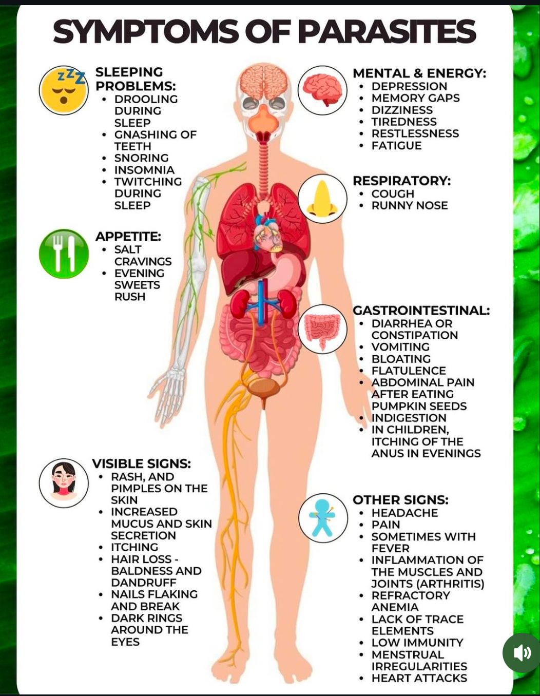 Parasite Detox tea
