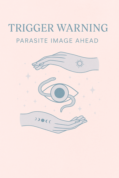 Parasite Detox tea